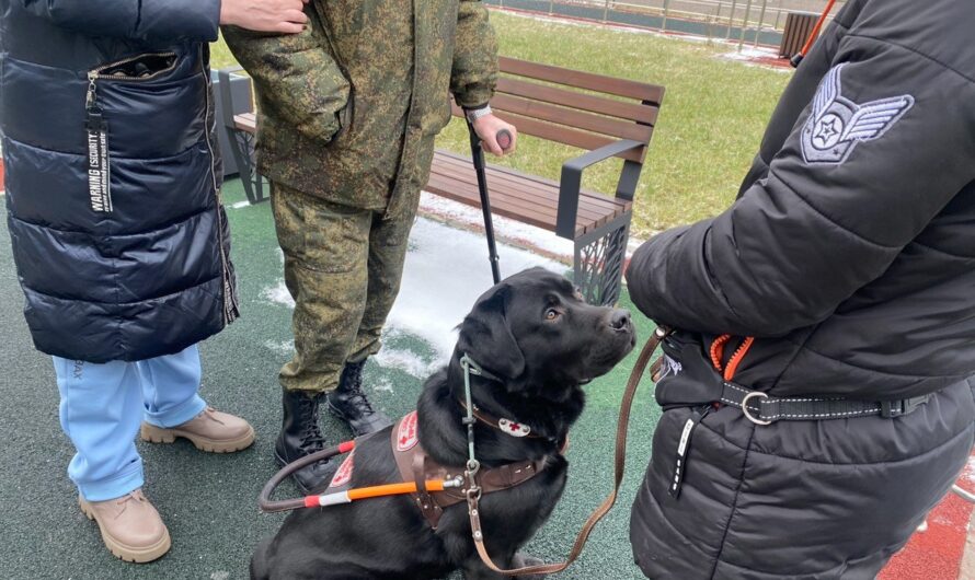 Новости нашего проекта «Звездный пес в помощь людям»