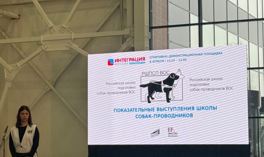 “Интеграция 2025”: Москва стала центром инноваций и надежды в сфере реабилитации